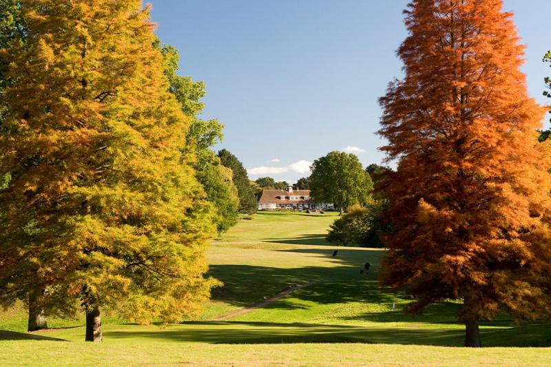 A beautiful golf course in the autumn