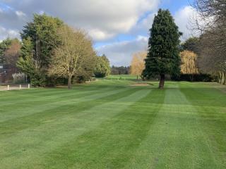 Beautiful fairways