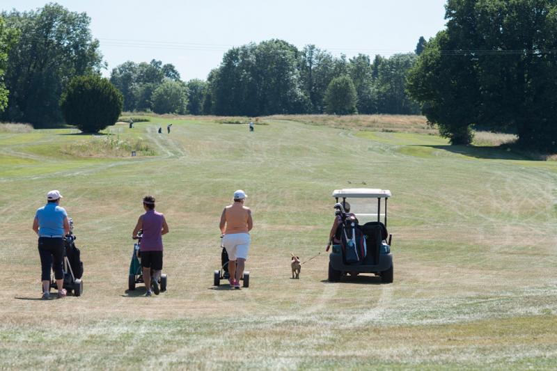 Players following a buggy on a golf course