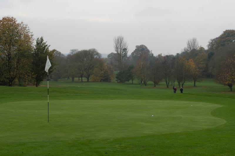 View of a green on an overcast golf course