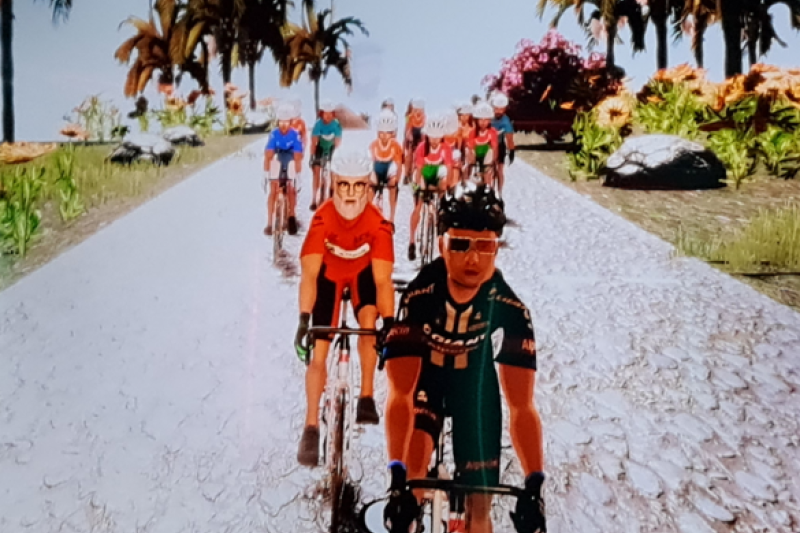 Brian - Spivi Avatar