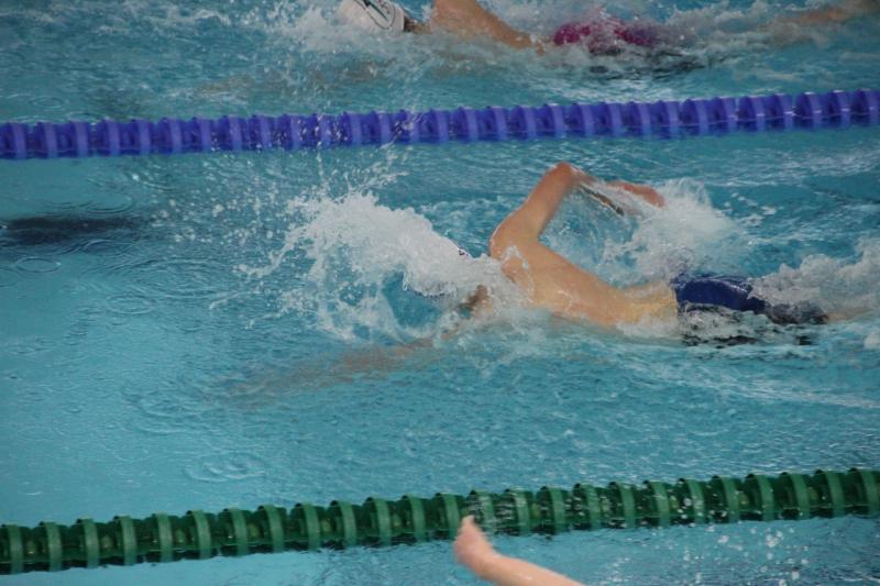 LYG Swimming